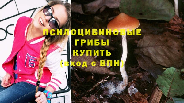 экстази Богородицк